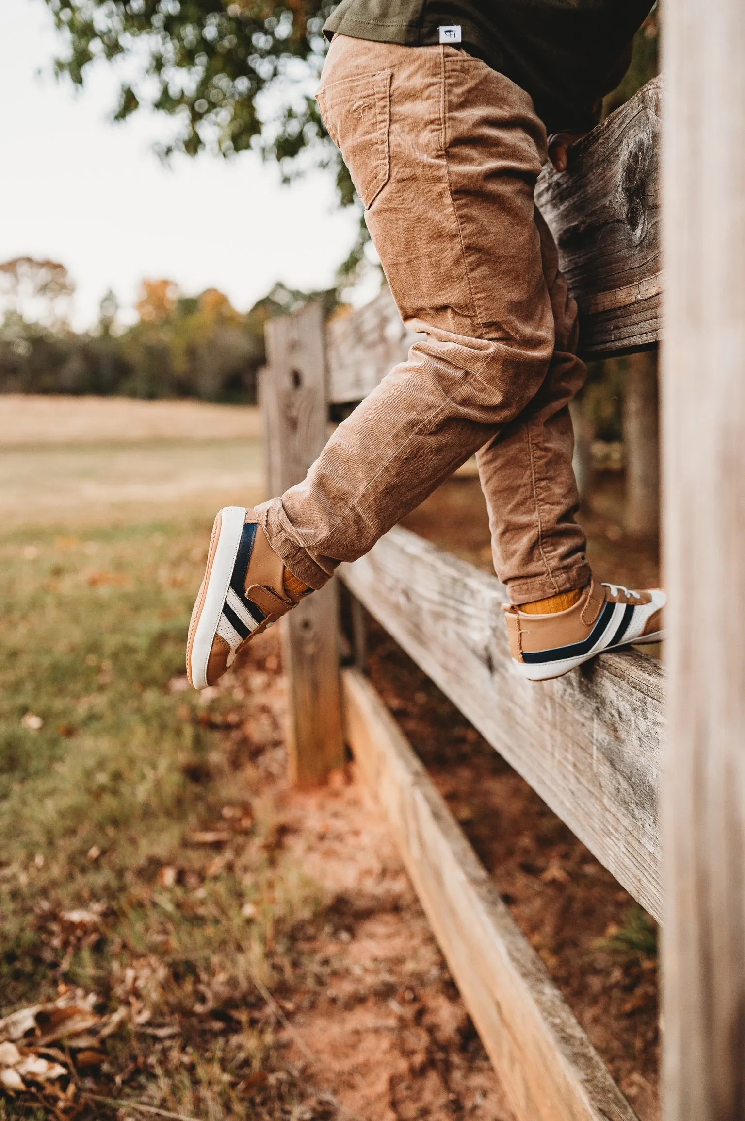 Brown and Navy Henry Low Top