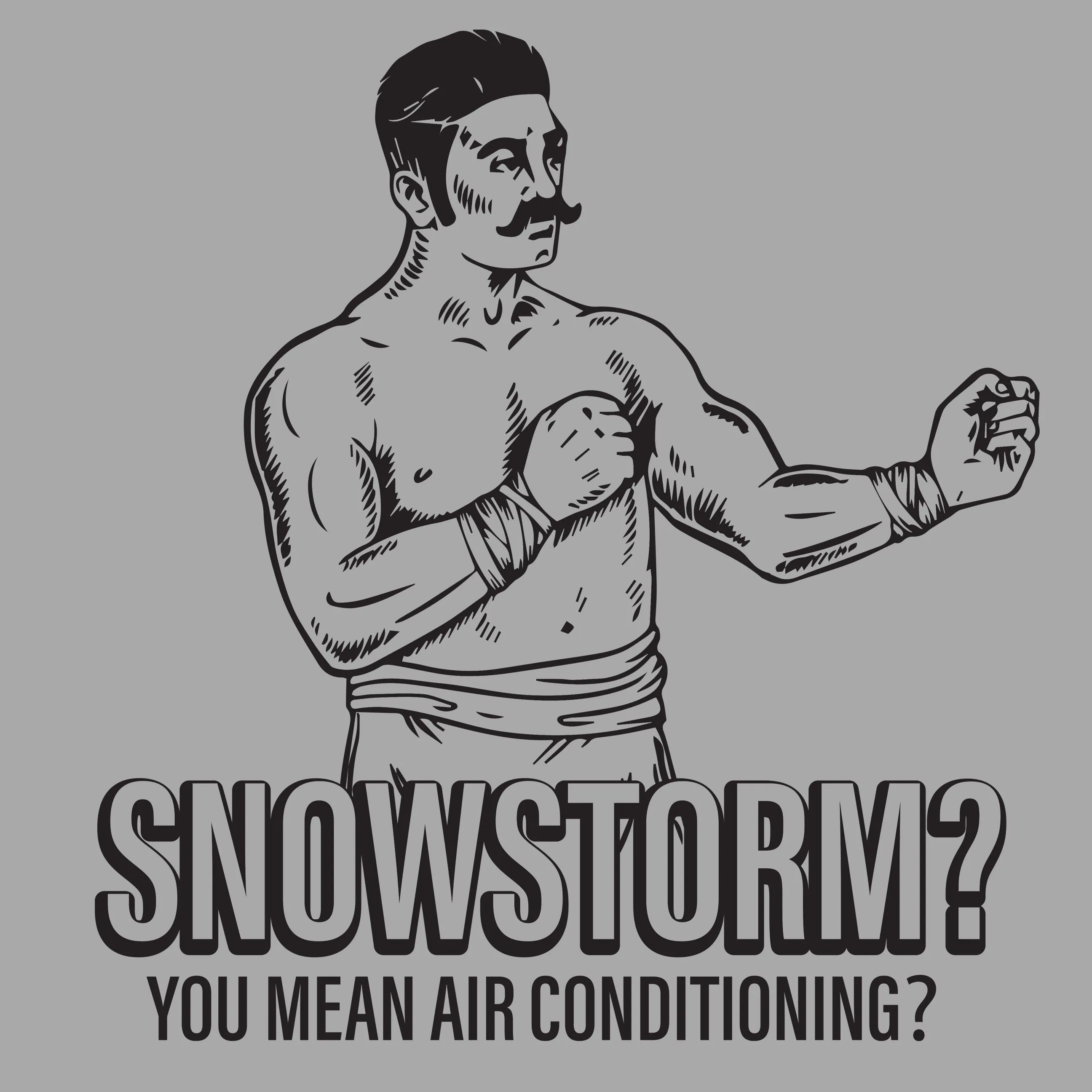 Snowstorm? You Mean Air Conditioning?